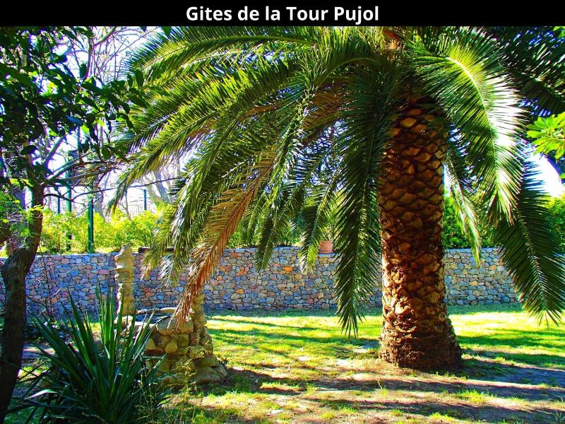 Les Gîtes de la Tour Pujol - image 25