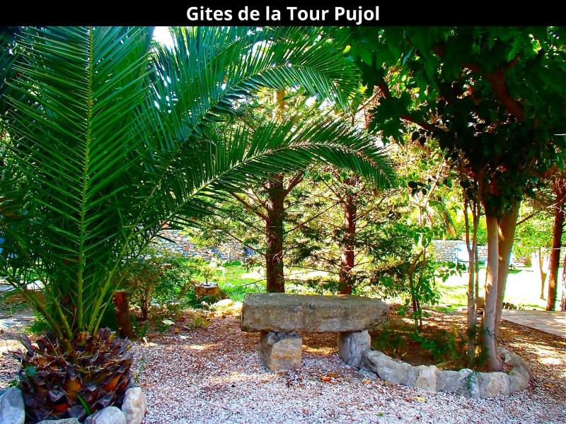 Les Gîtes de la Tour Pujol - image 39