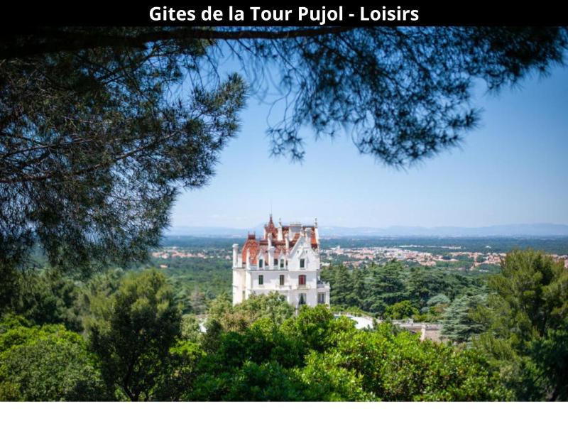 Les Gîtes de la Tour Pujol - image 28