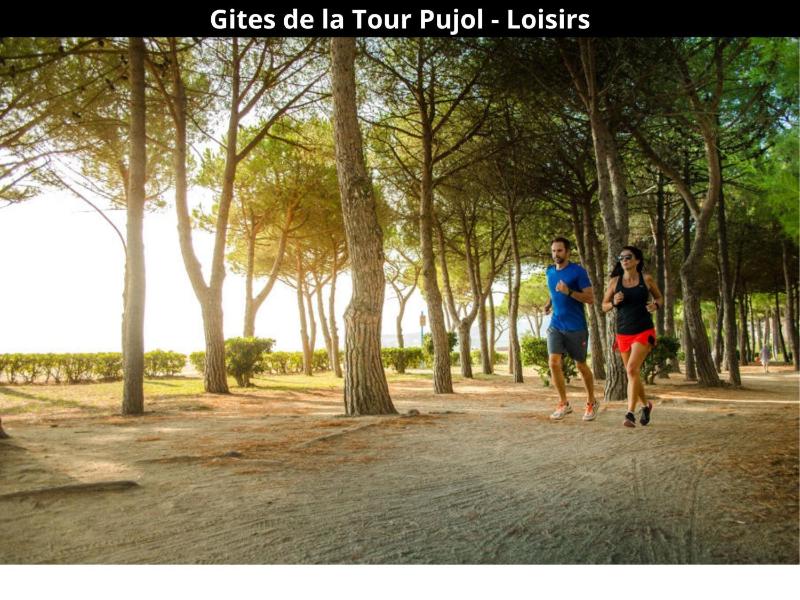 Les Gîtes de la Tour Pujol - image 13