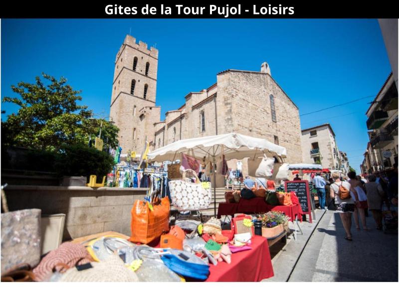 Les Gîtes de la Tour Pujol - image 10