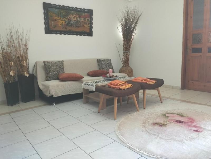 One-Bedroom Apartment image 4
