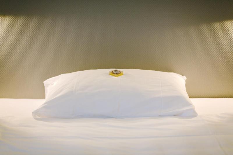Comfort Double Room image 4