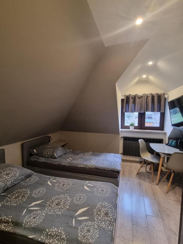 Deluxe Double or Twin Room image 4