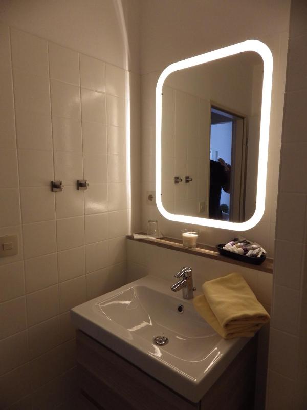 Single Room image 4