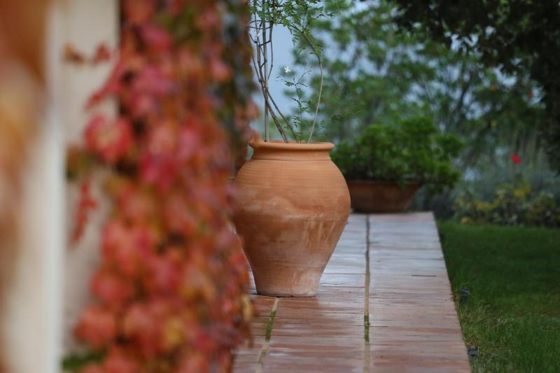 Superior Double Room image 3