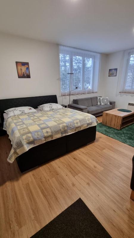 Studio Apartment image 4