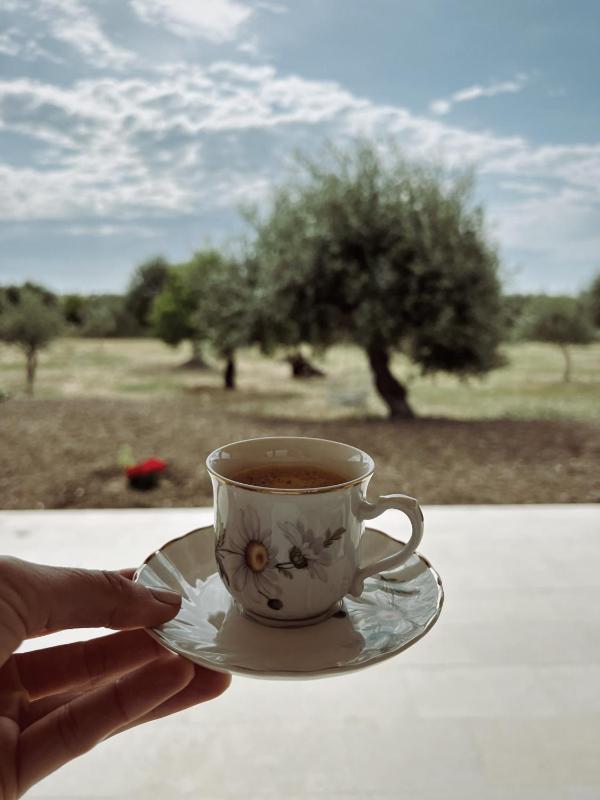 Tenuta Alessandra Noto - image 18