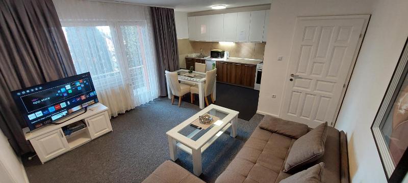One-Bedroom Apartment image 3