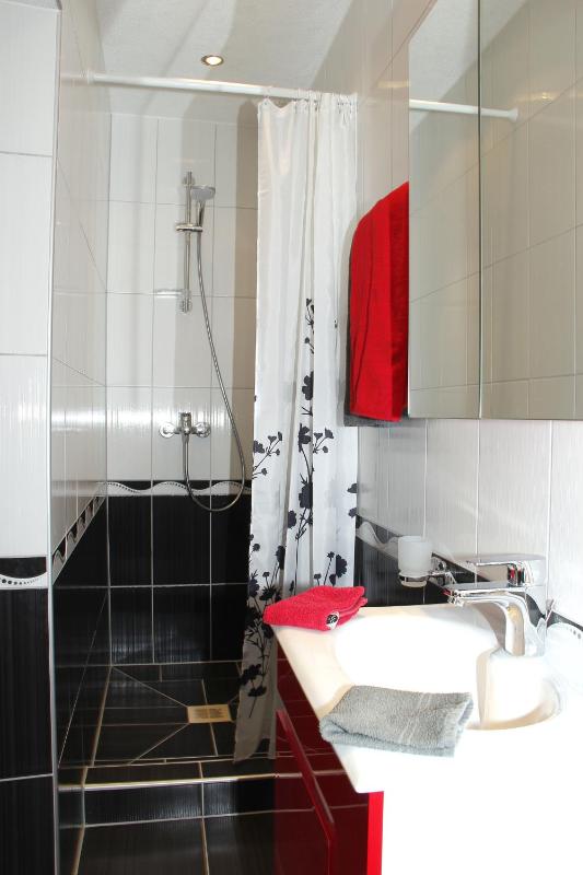 Two-Bedroom Apartment with Terrace image 4