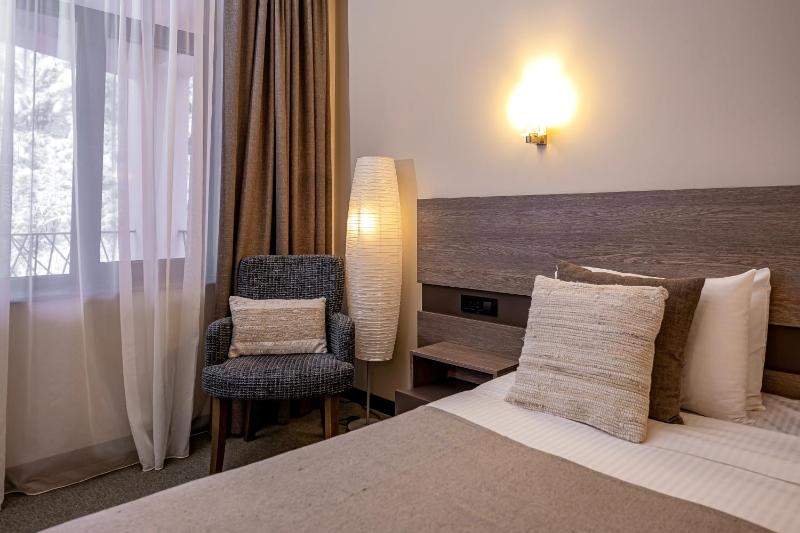 Deluxe Double or Twin Room with Mountain View image 4