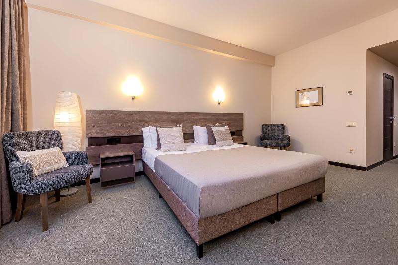 Deluxe Double or Twin Room with Mountain View image 3