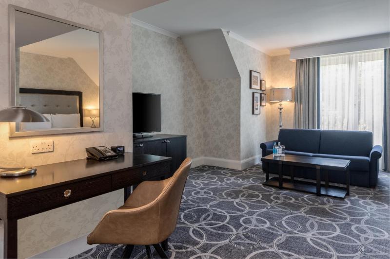 Deluxe King Room image 1