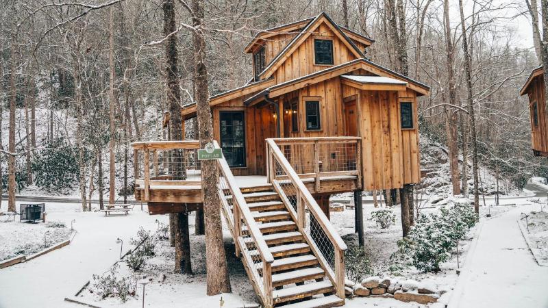 The Poplar in Treehouse Grove at Norton Creek - image 29