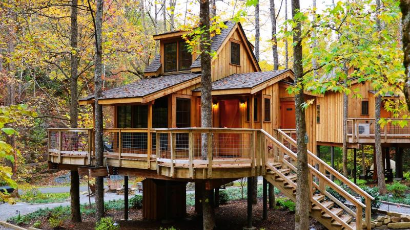 The Poplar in Treehouse Grove at Norton Creek - image 11