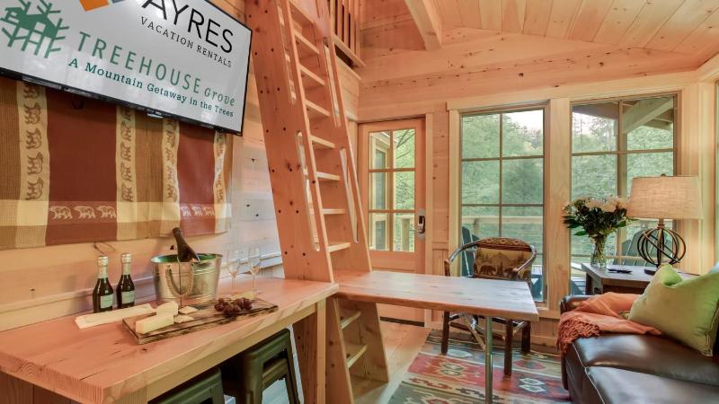 The Magnolia in Treehouse Grove at Norton Creek - image 20