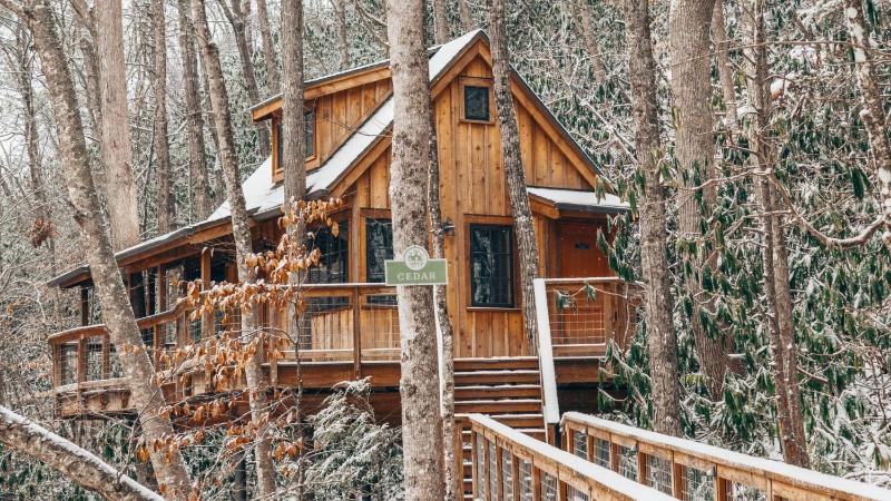 The Cedar in Treehouse Grove at Norton Creek - image 27