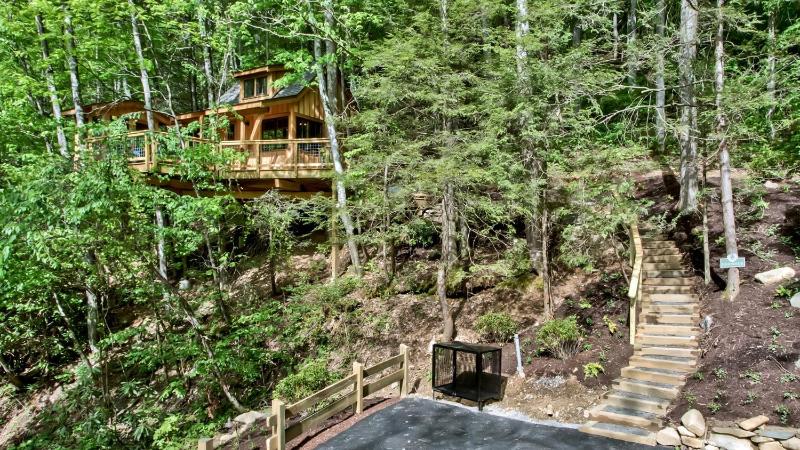 The Dogwood in Treehouse Grove at Norton Creek - image 22