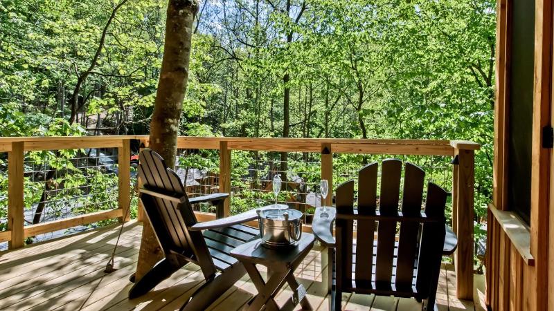 The Dogwood in Treehouse Grove at Norton Creek - image 23