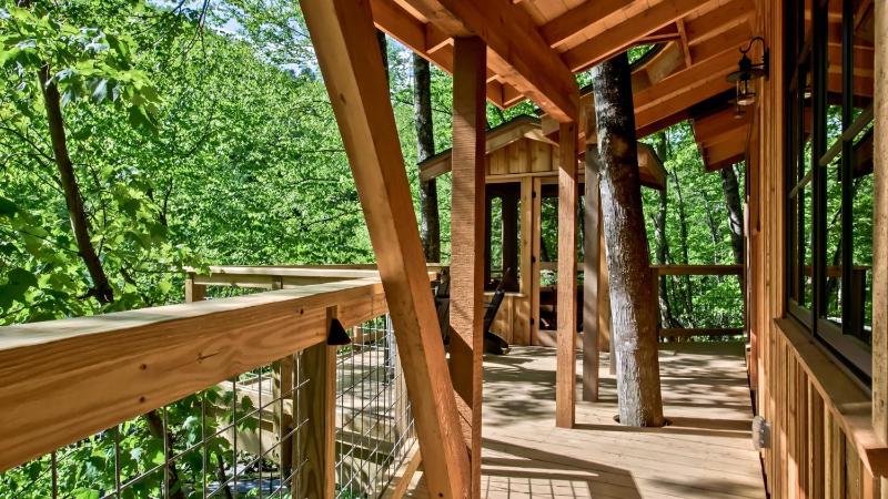 The Dogwood in Treehouse Grove at Norton Creek - image 10
