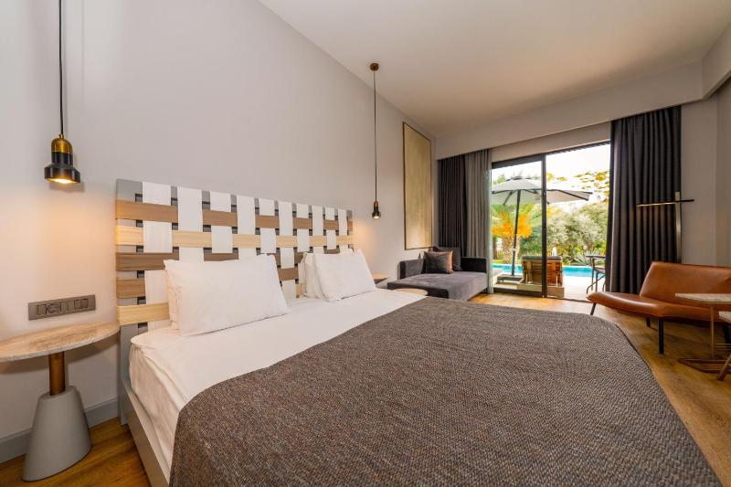 Triple Room with Pool Access image 3