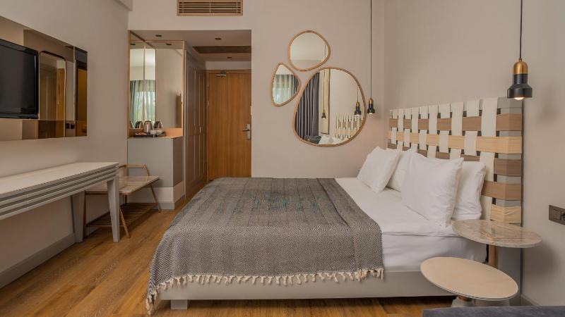 Triple Room with Pool Access image 4