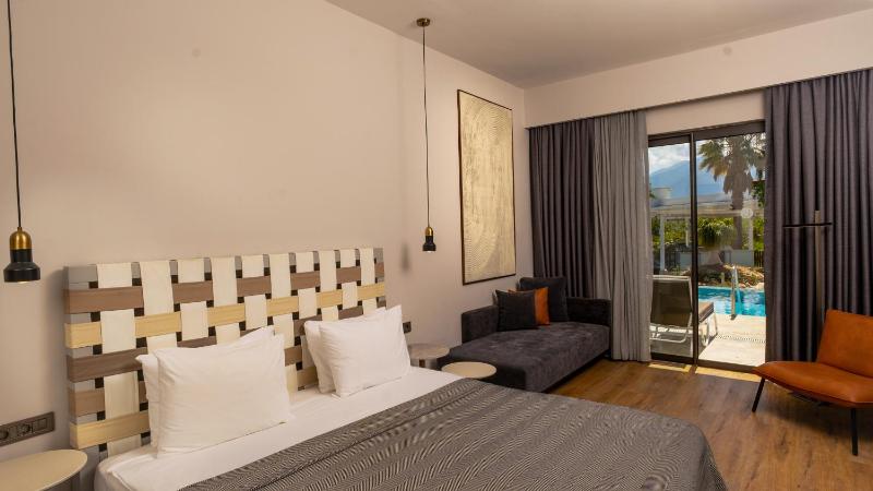 Triple Room with Pool Access image 1