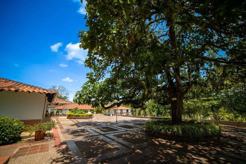 Hotel Barranqueros Soledén - image 27