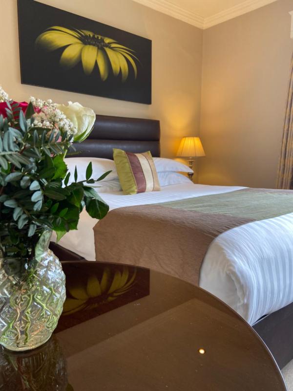 Double Room for Single Occupancy image 2