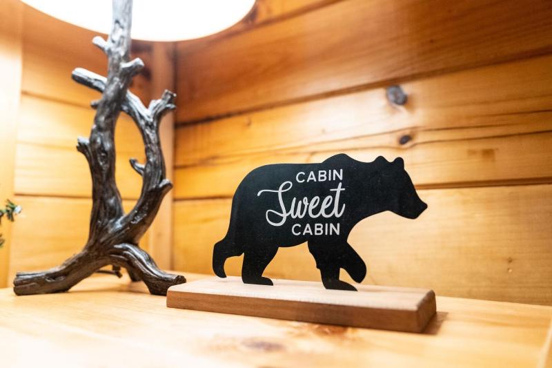 Bear Necessities cabin - image 44