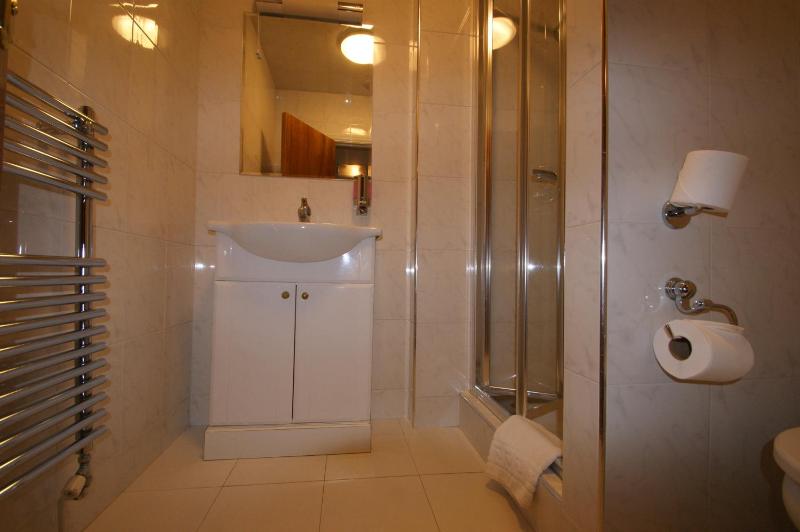 One Bedroom Apartment image 2