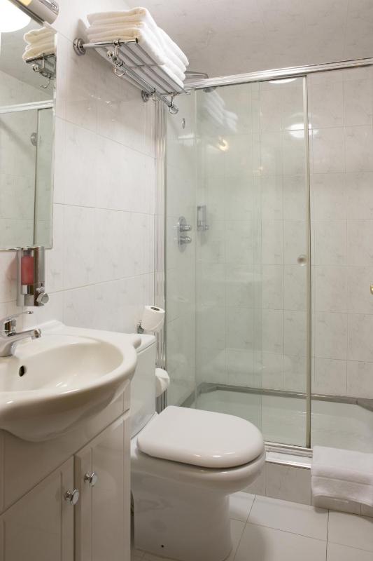 One Bedroom Apartment image 4