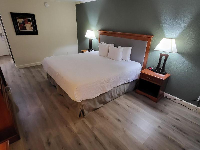King Room with Roll-In Shower - Mobility Access/Non-Smoking image 4