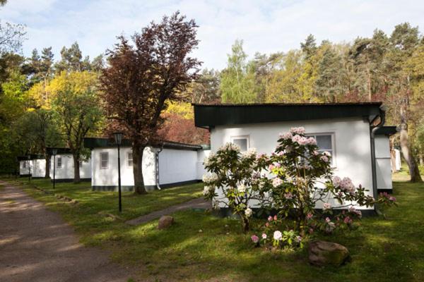 Bungalow image 2