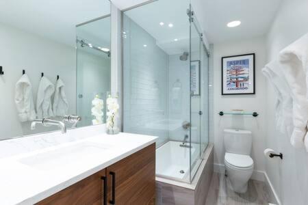 Aspen Core Renovated 2 BR 2 BA with AC - image 24