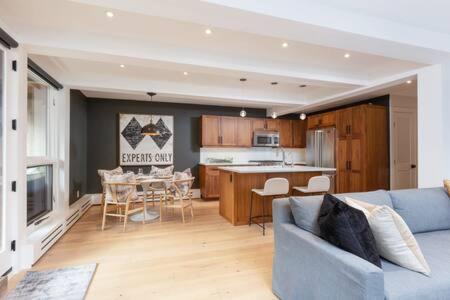 Aspen Core Renovated 2 BR 2 BA with AC - image 19