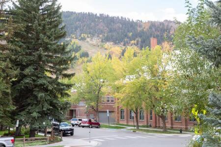 Aspen Core Renovated 2 BR 2 BA with AC - image 29