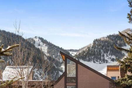 Aspen Core Renovated 2 BR 2 BA with AC - image 20