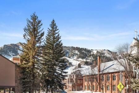 Aspen Core Renovated 2 BR 2 BA with AC - image 17