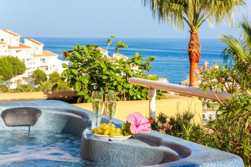 Malibu Mansions with private hot tub - image 1
