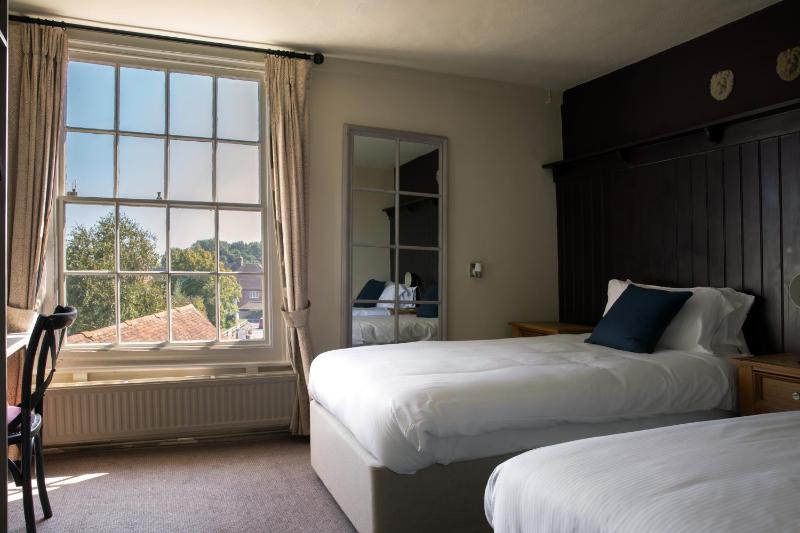 Deluxe Twin Room image 1