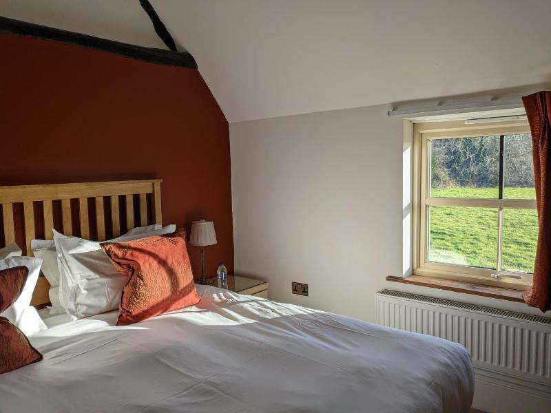 Deluxe Double or Twin Room image 1