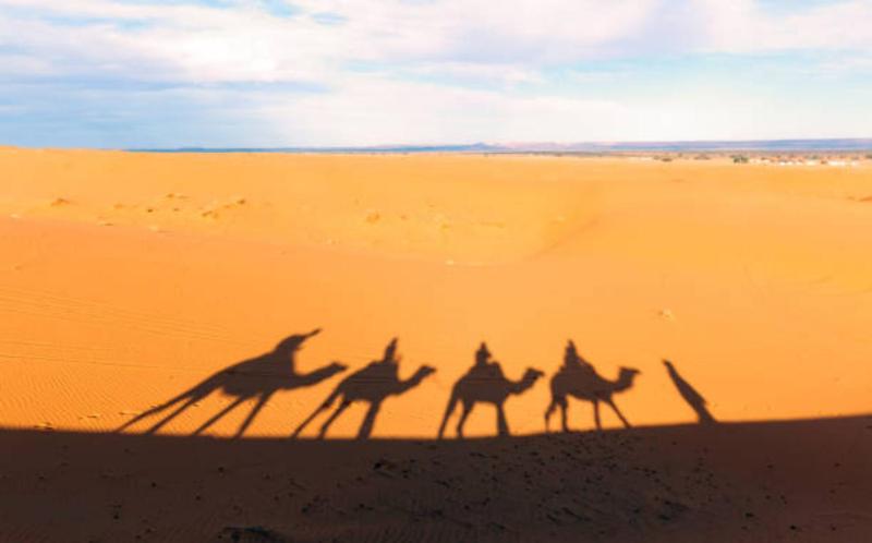 Merzouga Luxurious Camp - image 50