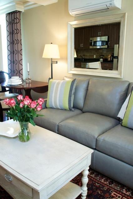 One-Bedroom Apartment image 3