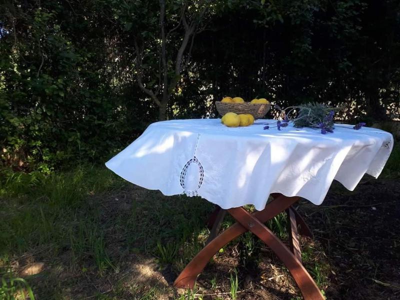 Superior Apartment image 4