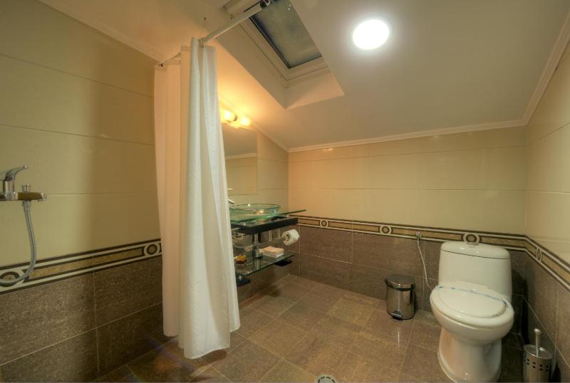VIP Suite image 3