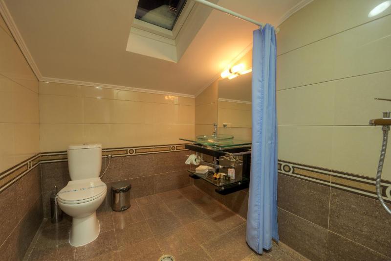 VIP Suite image 2