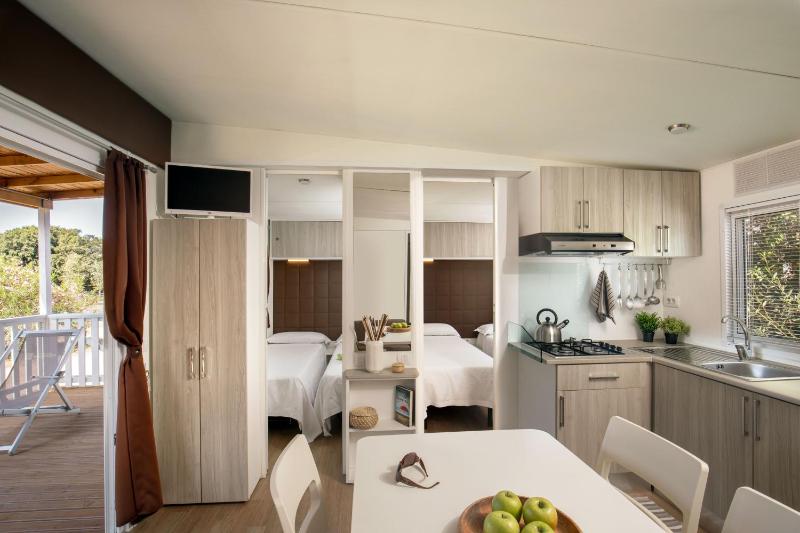 Large Mobile Home image 3