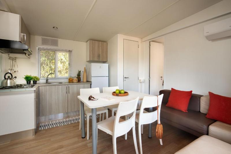 Large Mobile Home image 4