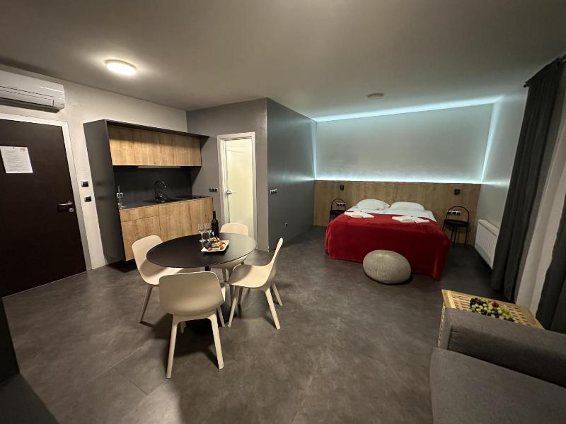 Studio Apartment with Balcony image 4